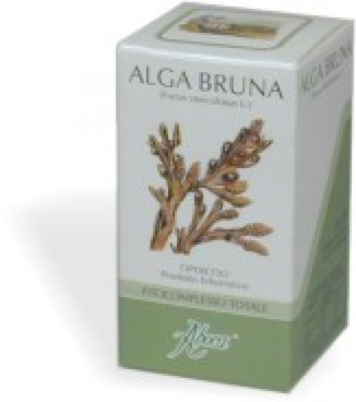 ALGA BRUNA