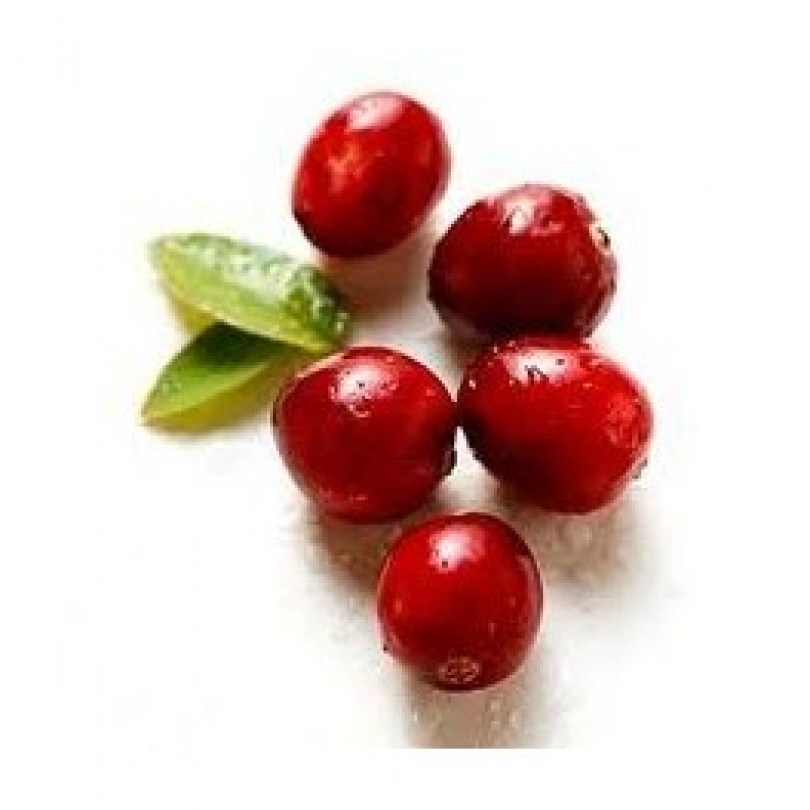 Arbutina titolo 99,60%