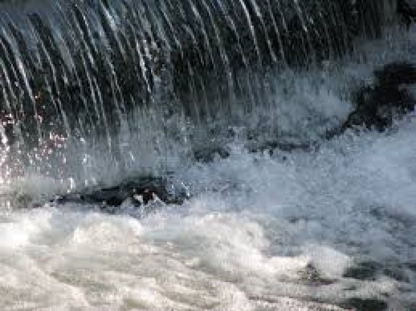 Fragranza Aromattiva Tonificante