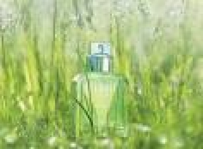 Fragranza eternity per colonia ed emulsioni 